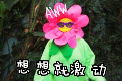 中国火山岛旅游景区,火山岛自然生态旅游景点