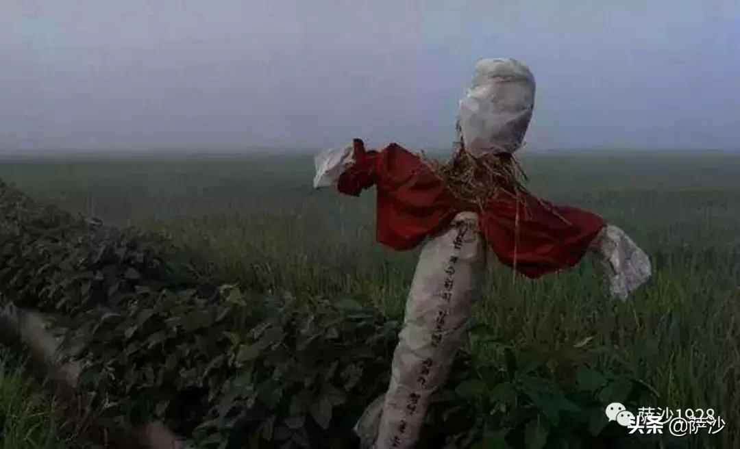 韩国电影杀人回忆元凶,杀人回忆韩国真正凶手