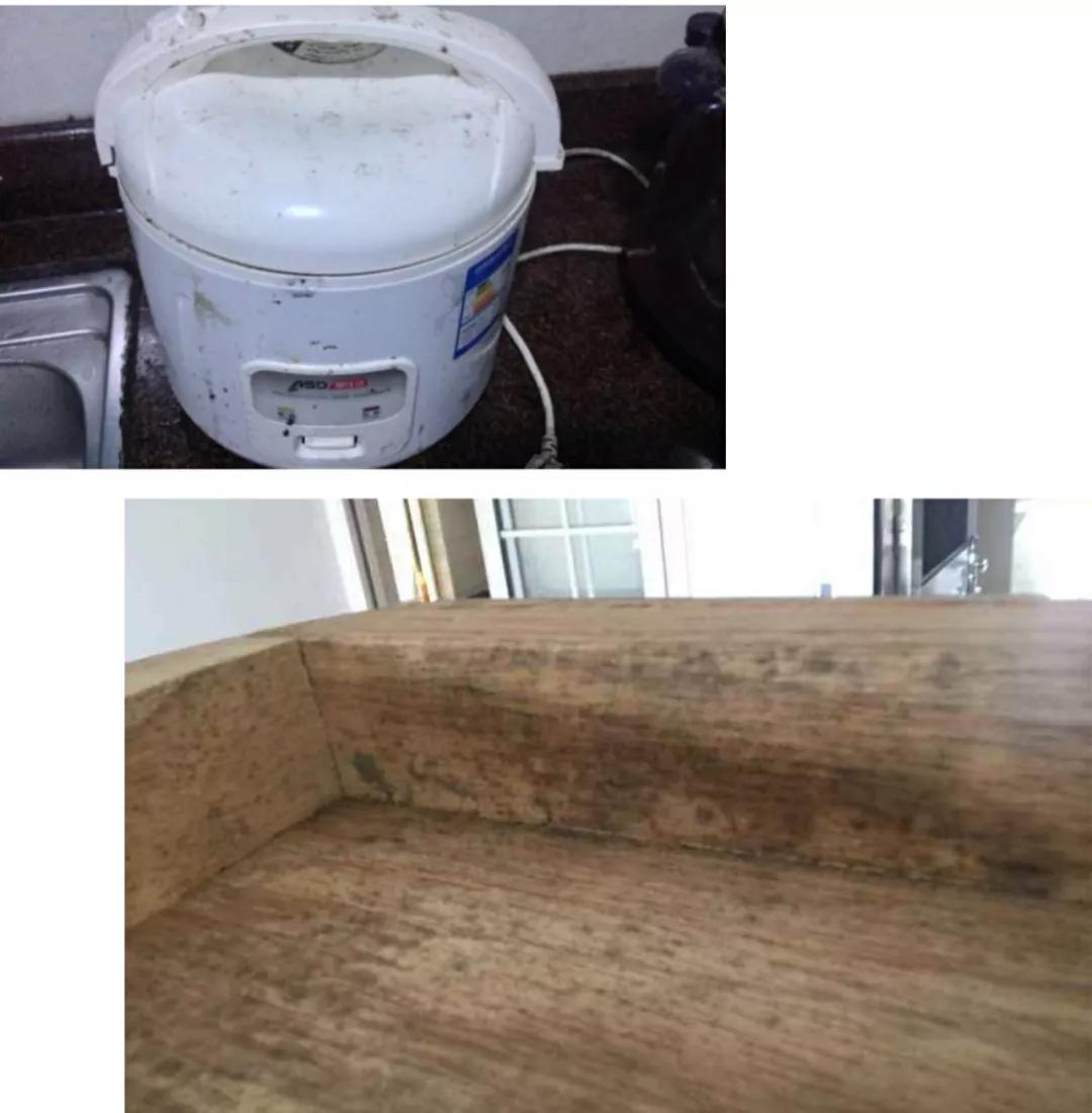 农村新自建房漏水怎么解决,又漏水又漏油