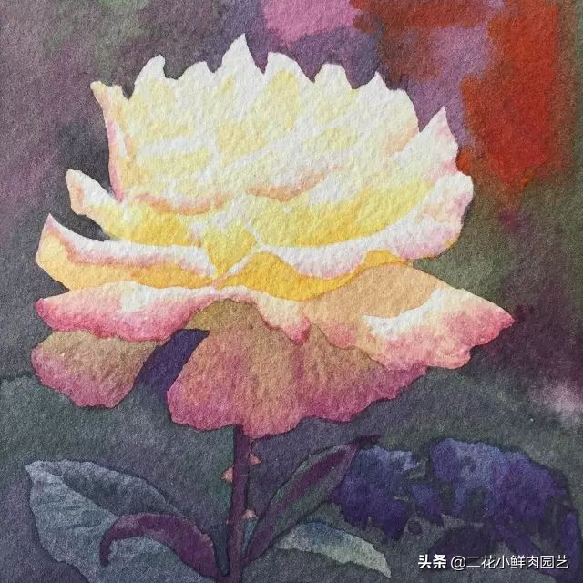 100种花卉绘画,100多张花卉线描手稿素材赶快收藏