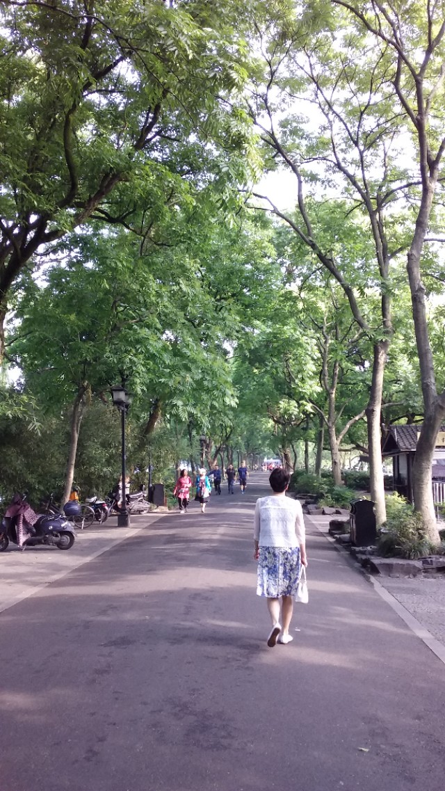 第二批西湖风景名胜区,杭州西湖的风景美如画