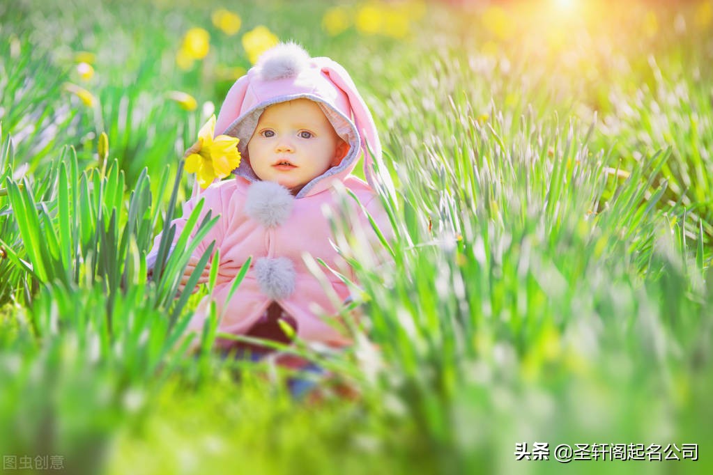 女孩智慧聪明的名字,有气质又聪明的女孩名字大全