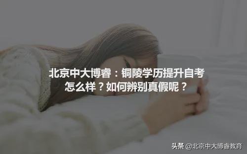 中大博睿学院自考专升本,北京中大博睿教育靠谱吗