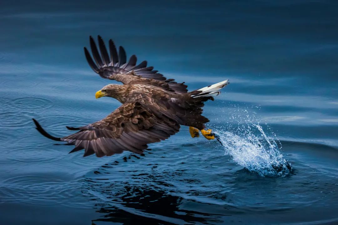 香港第14届全国摄影艺术展,第29届全国摄影艺术展览获奖名单