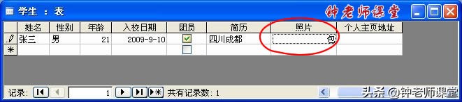 使用表单控件创建图表,使用视图设计器创建视图
