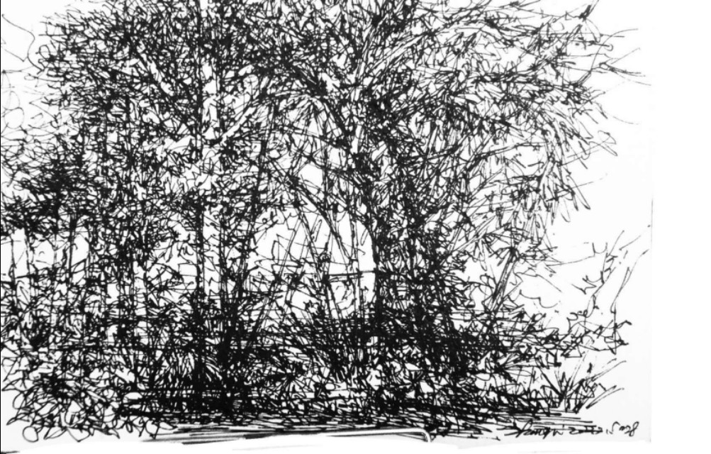 退休了想做什么工作,退休之后你想做什么