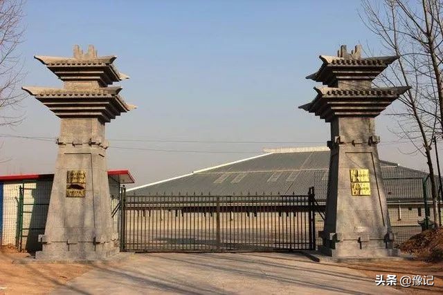 除了冬枣还有什么枣又大又圆,除了红枣枸杞茶还有什么茶