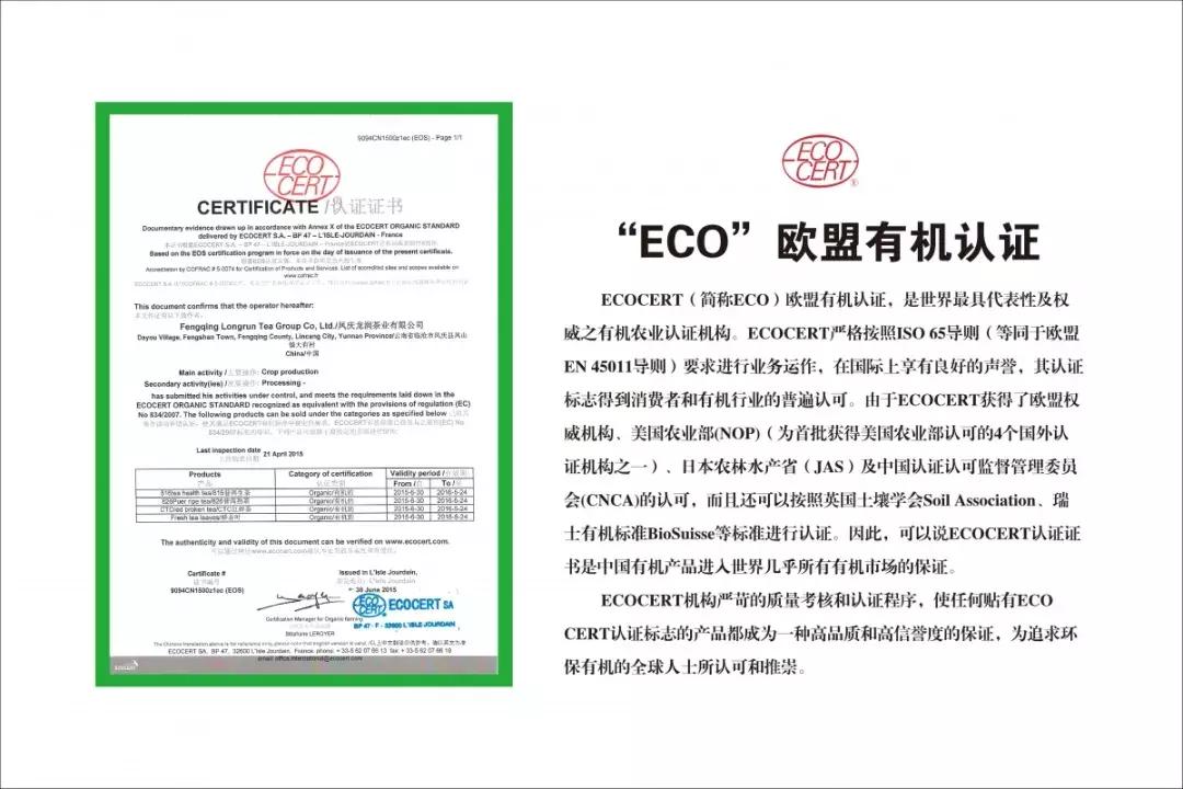 龙润集团招聘合伙人吗,龙润集团年会