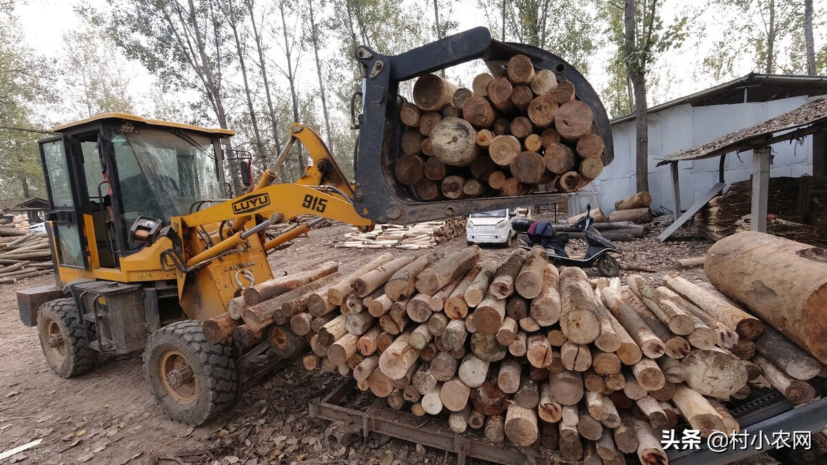 适合农村创业的29个项目,2022乡镇致富新项目