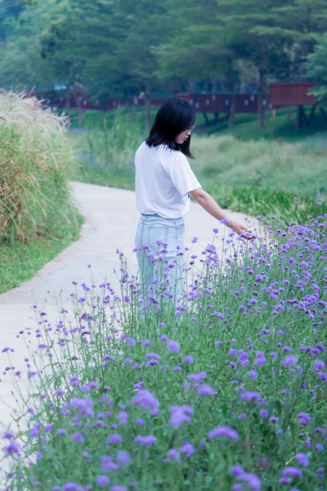 深圳10大旅游好去处,深圳盐田区周末休闲浪漫好去处