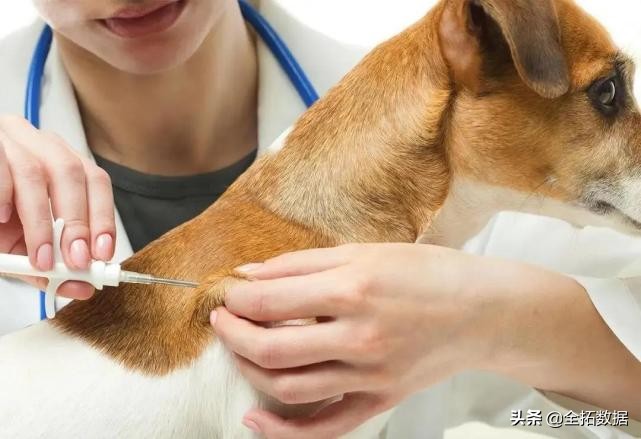 全拓数据怎么样,全拓数据