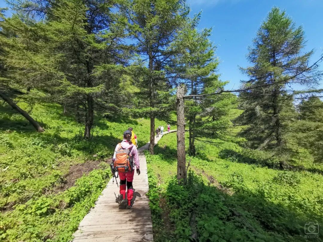 徒步穿越北驼梁完整版,穿越花海古道游记