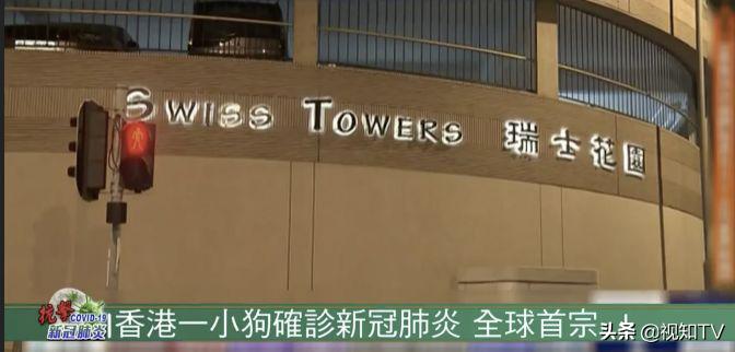 如何告别杠精,如何一句话让杠精闭嘴