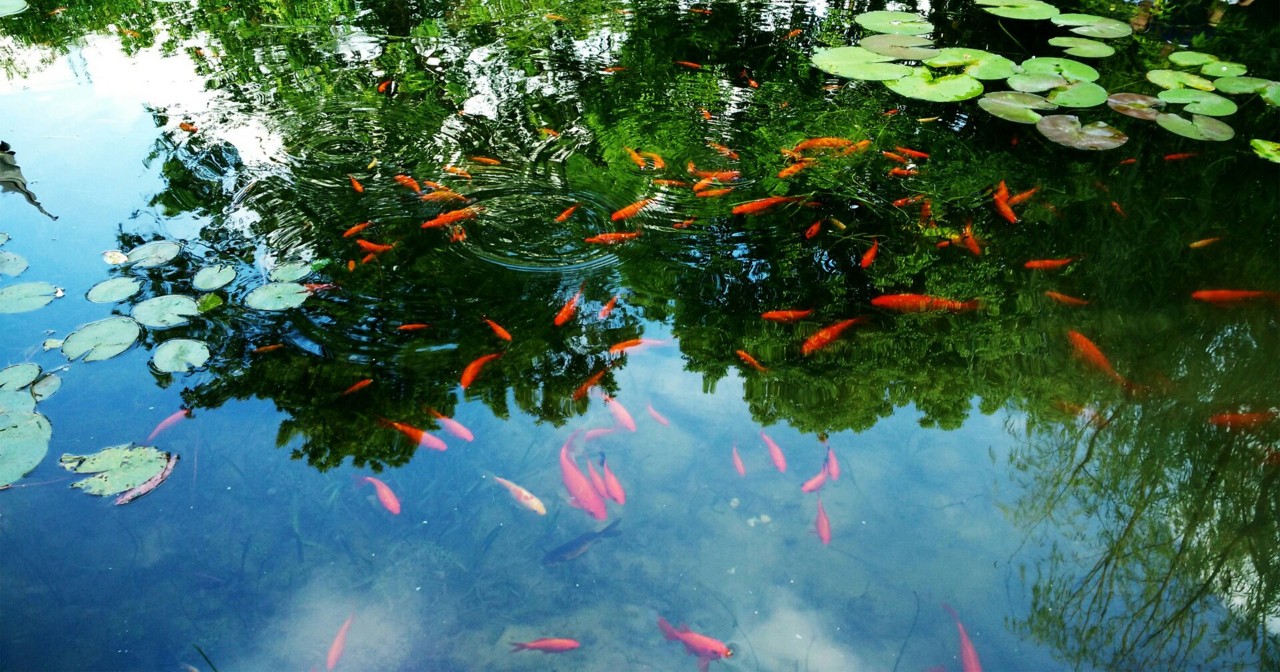 春暖花开等风等雨也等你诗词,10首最美秋夜诗词