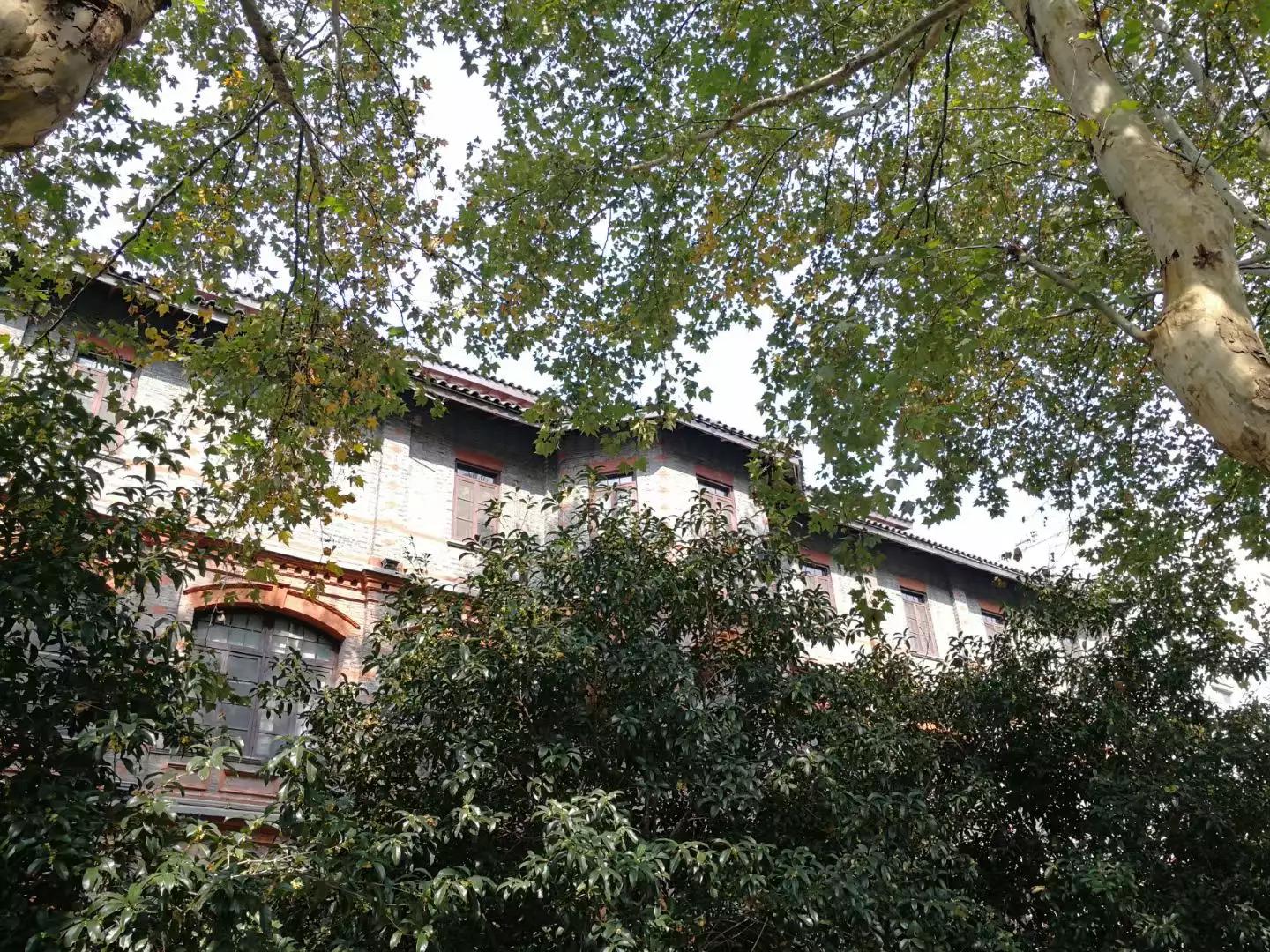 怀念八八年实习过的绍兴二院小阁楼——