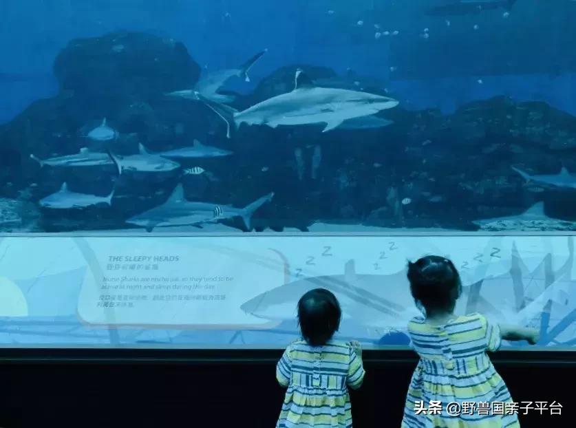 带孩子新加坡4天够玩吗,新加坡带孩子自由行几天