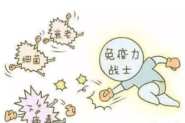 怎么保护胰岛b细胞功能,沙格列汀保护胰岛功能