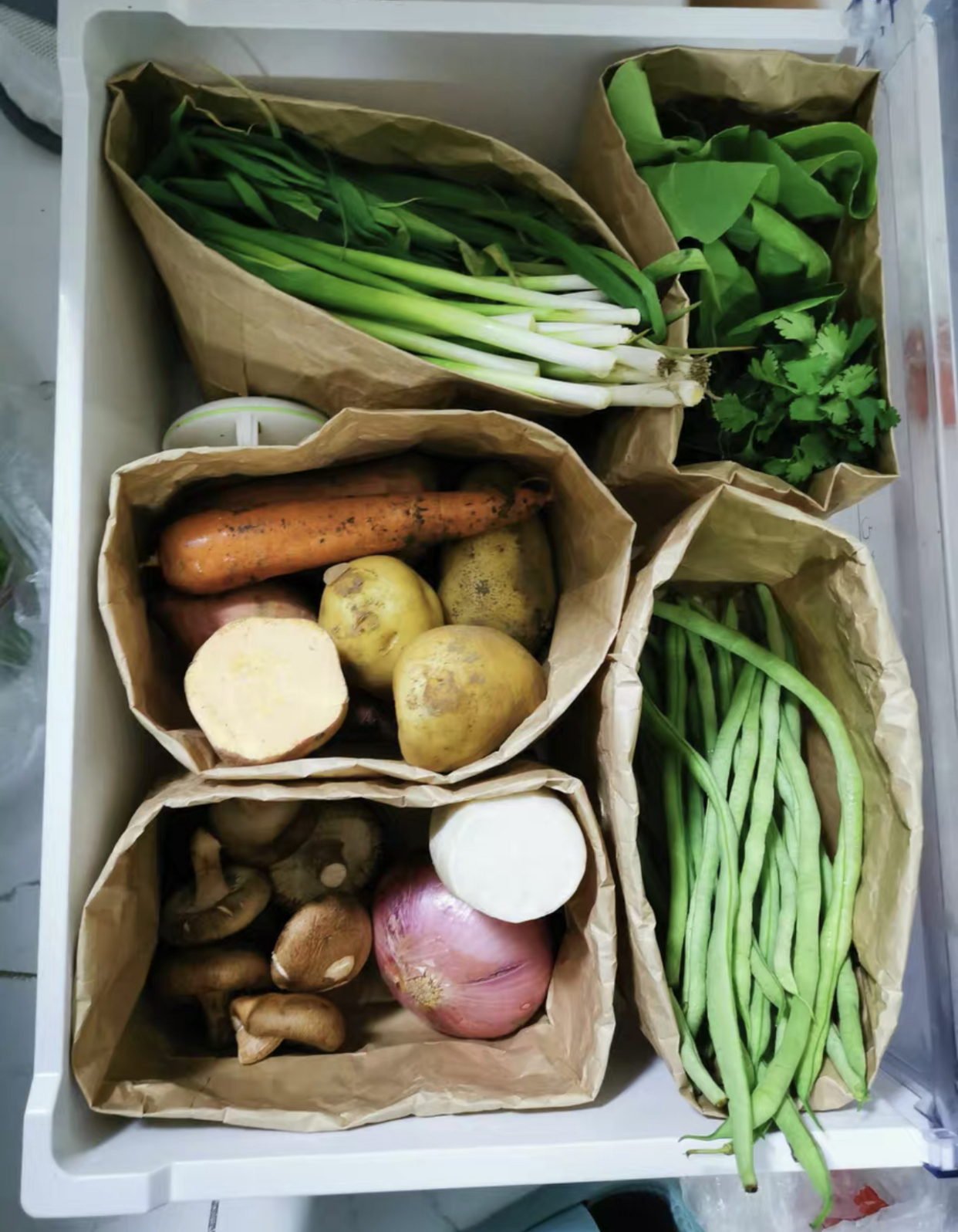 冰箱封条发霉严重怎么处理,冰箱封条发霉最好清洗方法