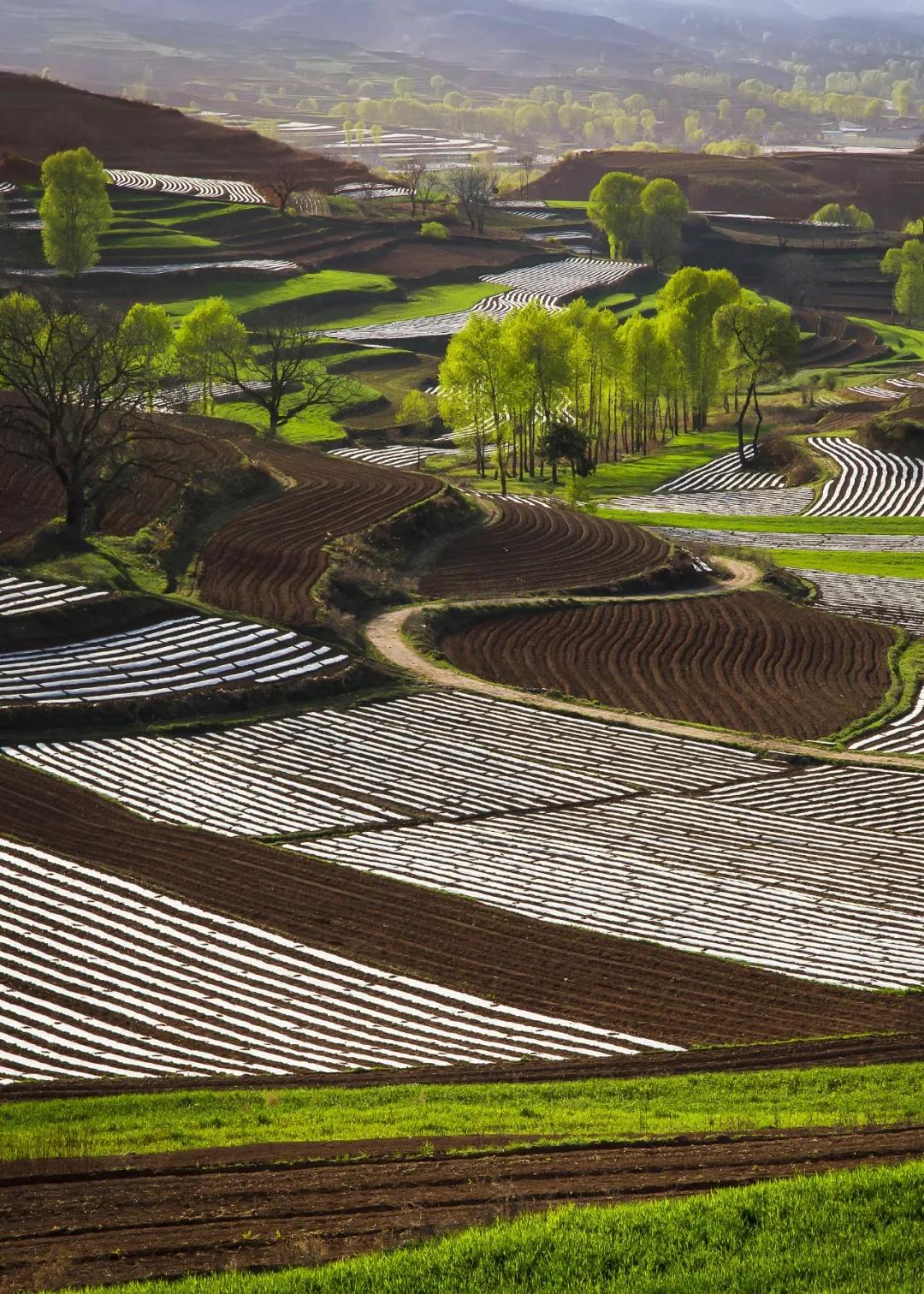 为什么宝鸡比西安更有“关中味儿”？