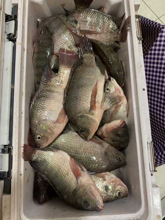 如何选择一款便宜好用的鱼竿？这三个原则用好就可以