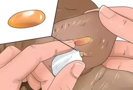狗狗身上瘊子怎么去除,狗狗身上的斑点怎么去除