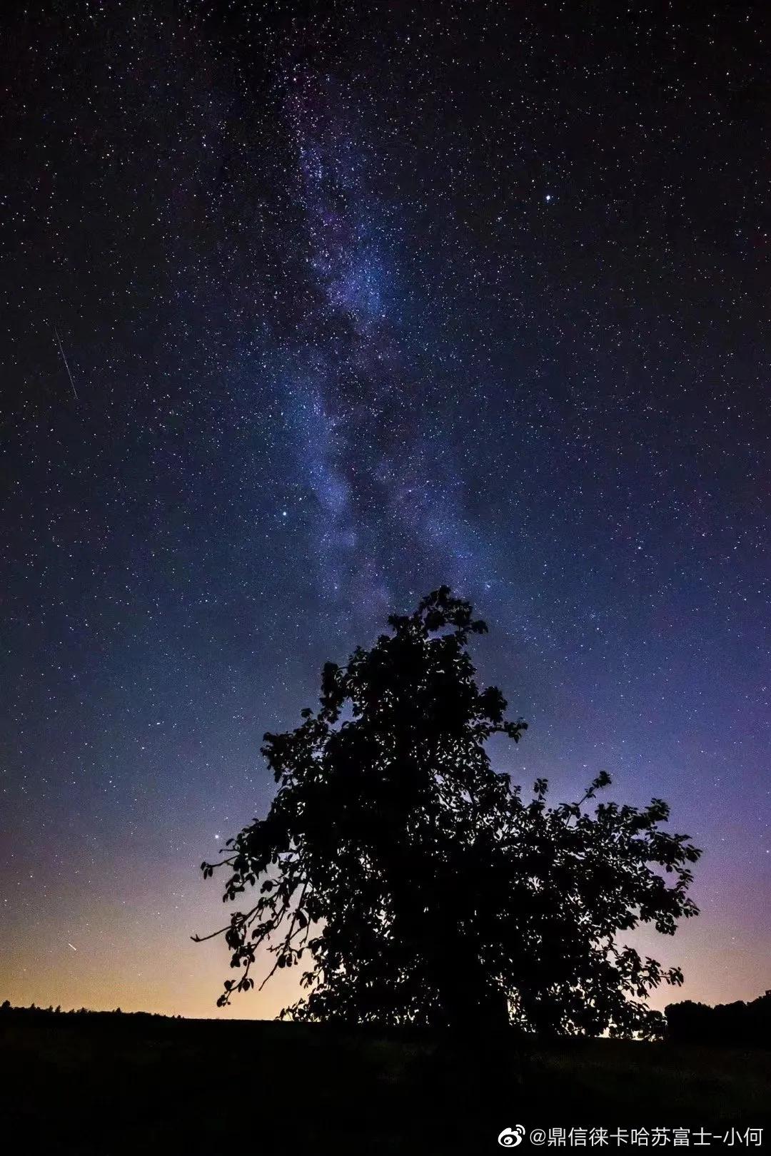 徕卡sl2和sl2s相机区别,徕卡sl2对比松下s1r