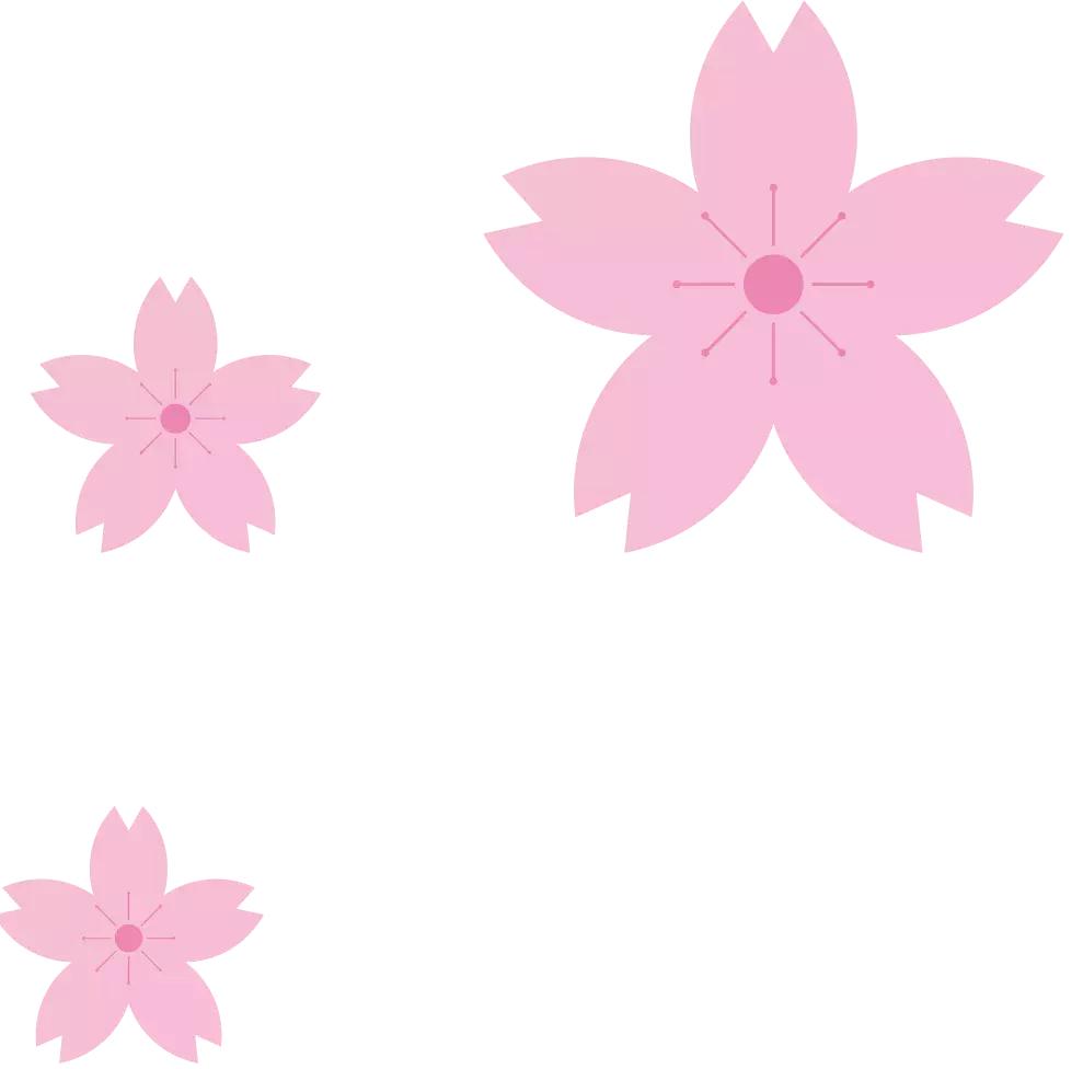 揭秘！天津路这家店，门口停满豪车！还不时有各种靓丽女子进出.