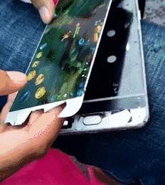 这只鹦鹉一直以为他是一只猴，所以每天都在重复做这个动作