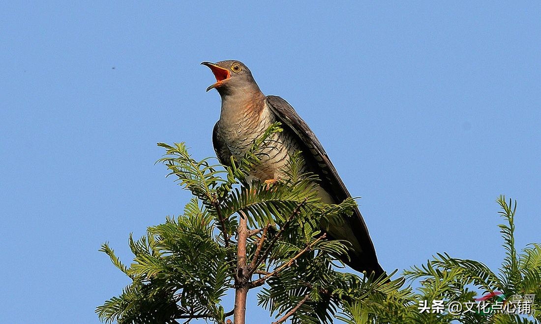 李白一首最经典的咏酒诗,李白哪一句诗句惊艳了你