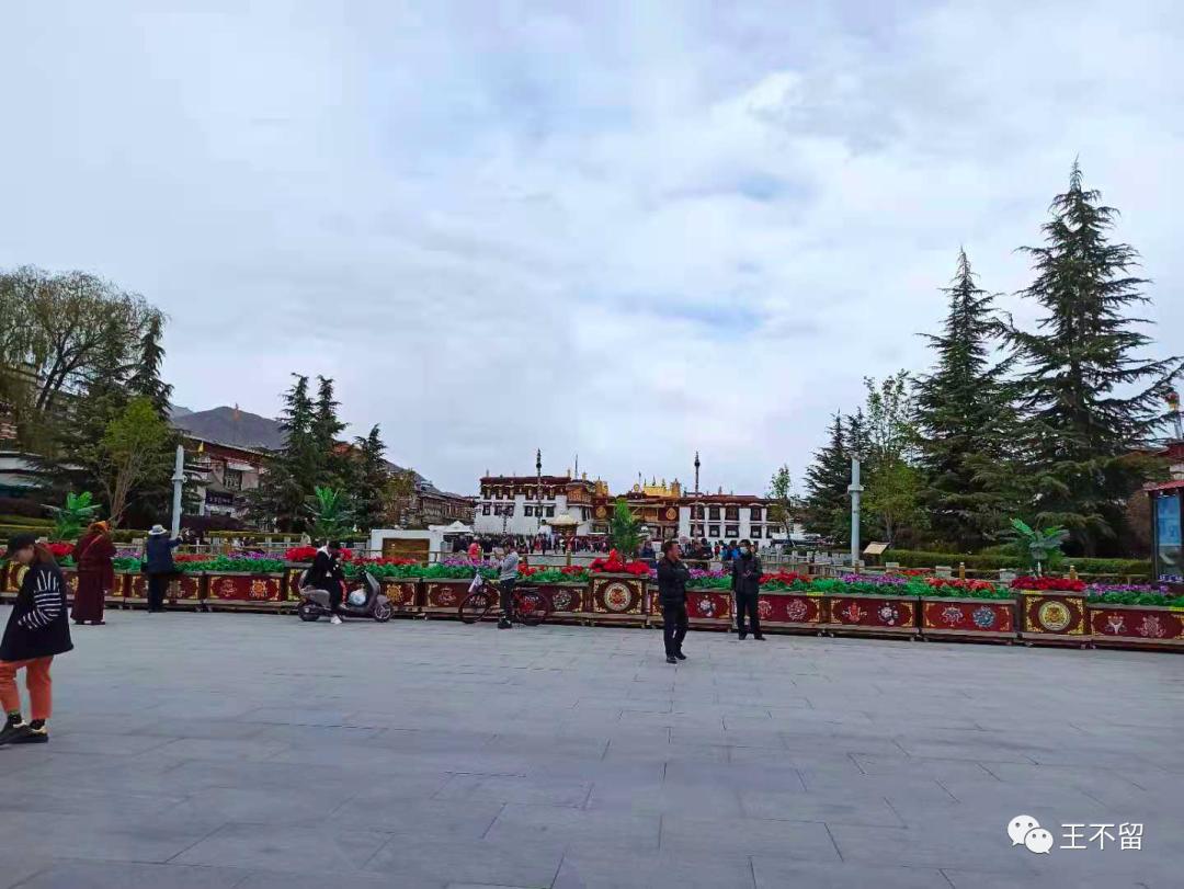 拉萨缺氧严重么,在拉萨缺氧到头痛