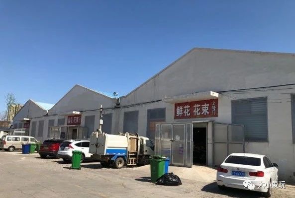 过年必逛花卉市场,北京值得去的花卉市场