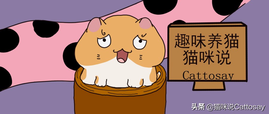 爱喵汪的铲屎官,爱猫的铲屎官幸福吗