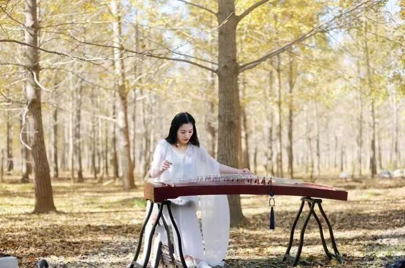 古筝好学吗难不难学,古筝紫竹调好学么