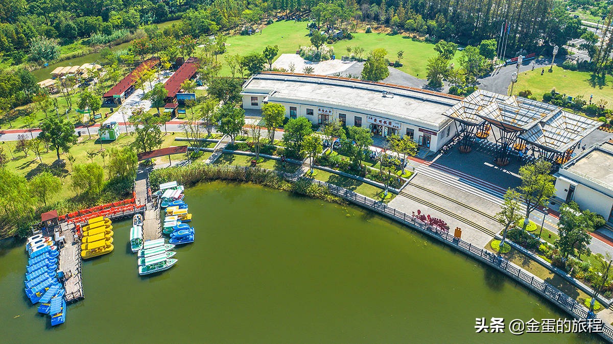 不出上海有哪些地方旅游,不出上海玩的景点排行榜