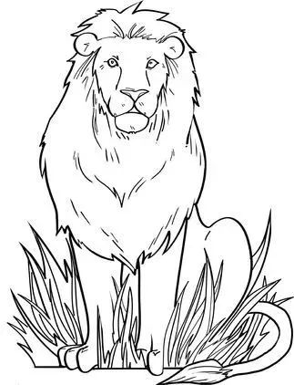 手绘画素材书,100张手绘素材图片