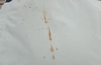 除了猪肉肠和酸菜，这个东西也是德国人的心肝宝贝