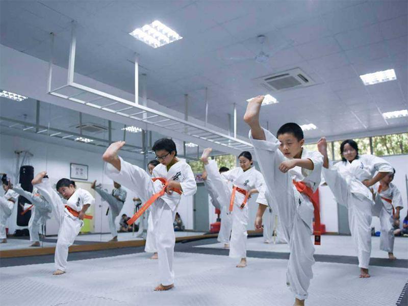 中国好的空手道训练机构,空手道培训学校好做吗