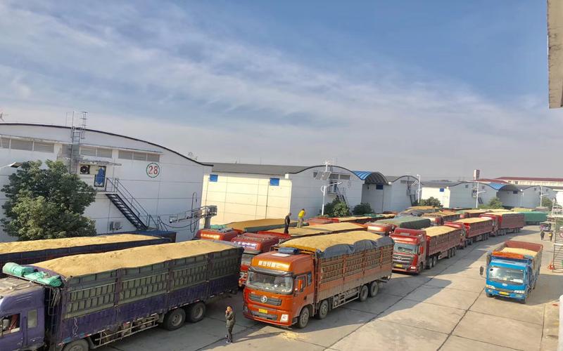 康宏粮油集团有限公司,康宏粮油合作社