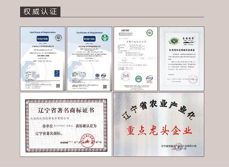 辽宁大连有一个岛,辽宁大连旅游岛屿