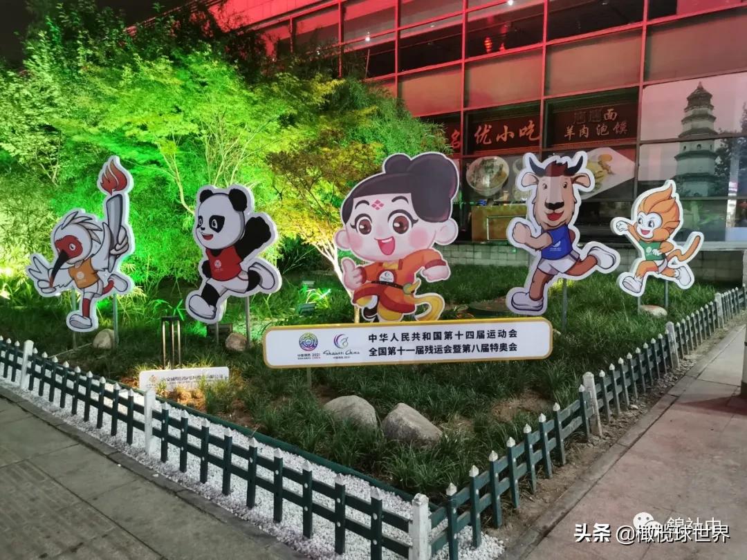 我和我的体育故事,我和橄榄球的故事