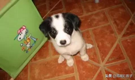 复仇方式电影,最狠的复仇方式电影