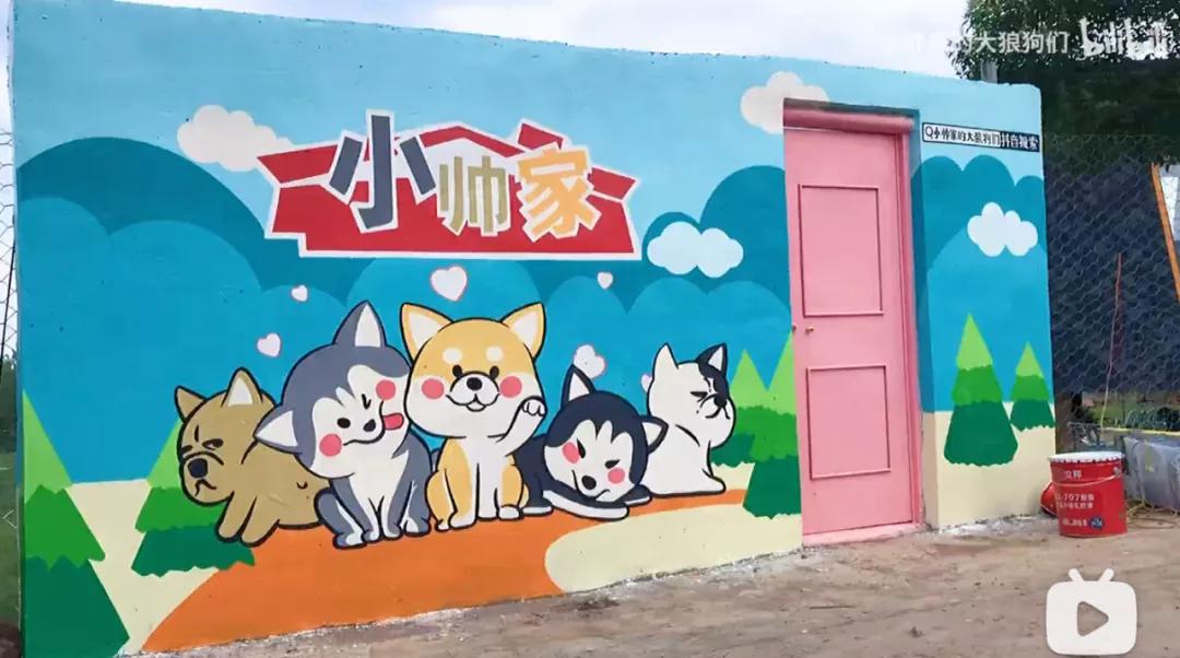 花三年建宠物乐园,花20万给狗打造乐园