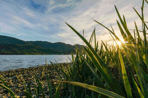 后官湖湿地公园环游,后官湖湿地公园游后感