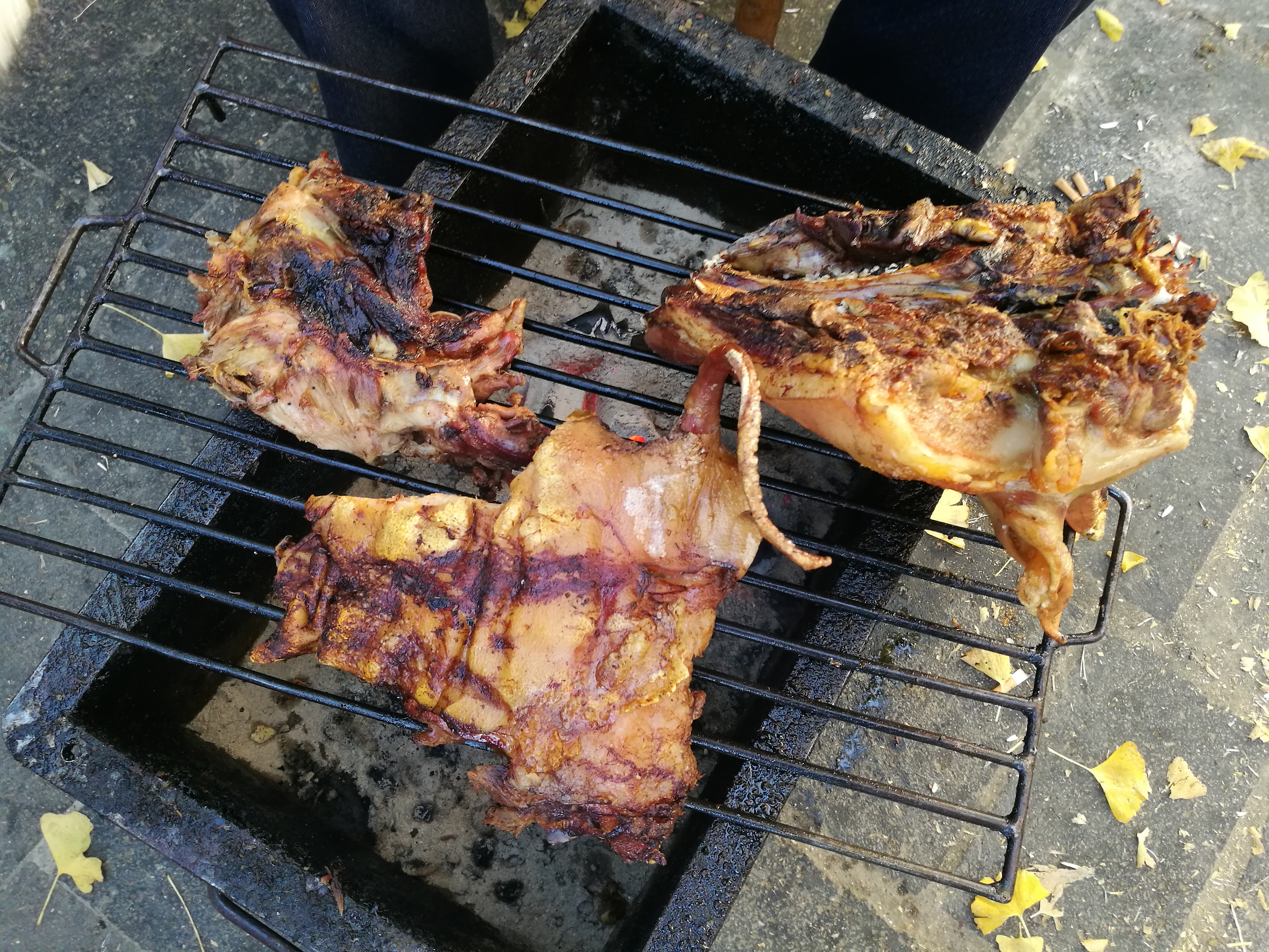 2023腾冲看银杏最佳时间,腾冲看银杏树旅游攻略