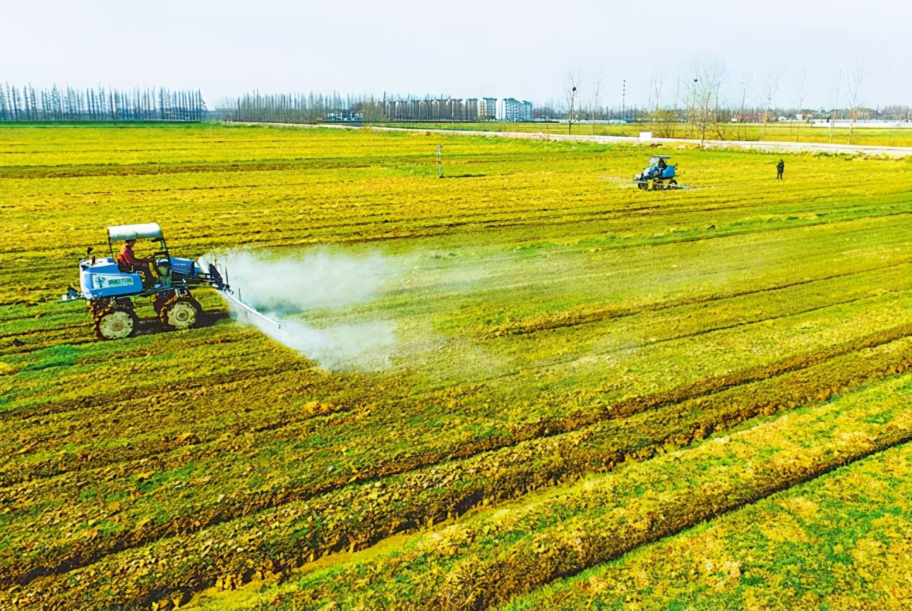 庐江有多少矿产,安徽庐江铁矿储量