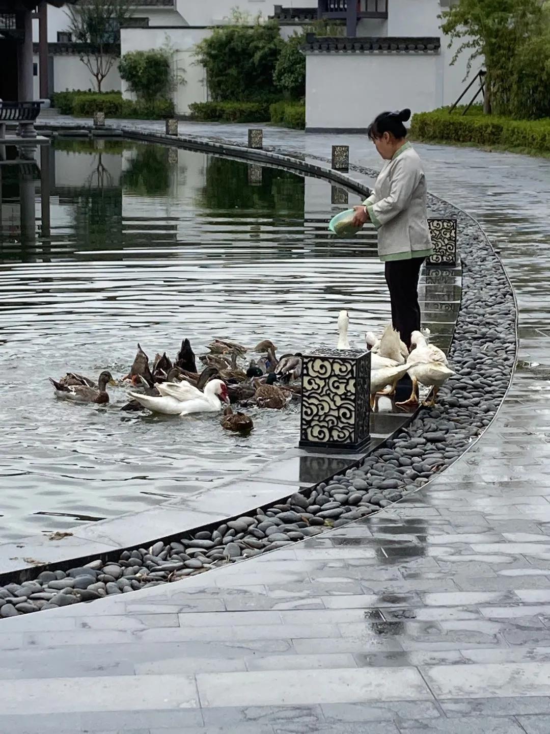 黄山悦榕庄酒店价格表,黄山悦榕庄酒店如何预订