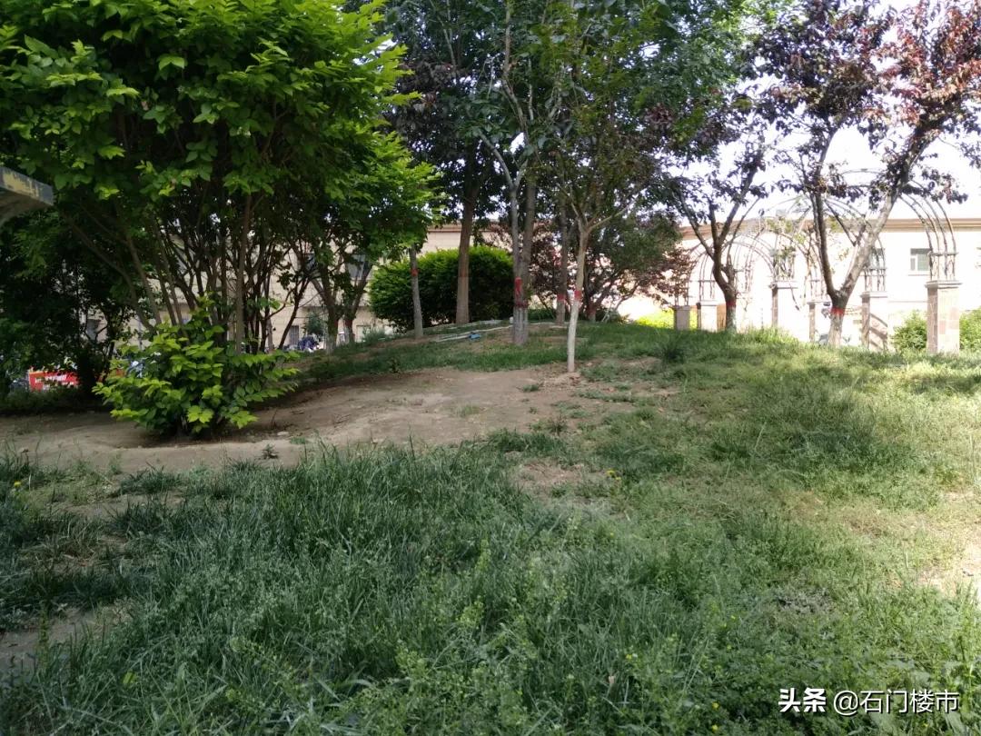 瀹炴帰鍚堣偉琚仐蹇樼殑鑰佹棫灏忓尯,瀹炴帰灏忓尯