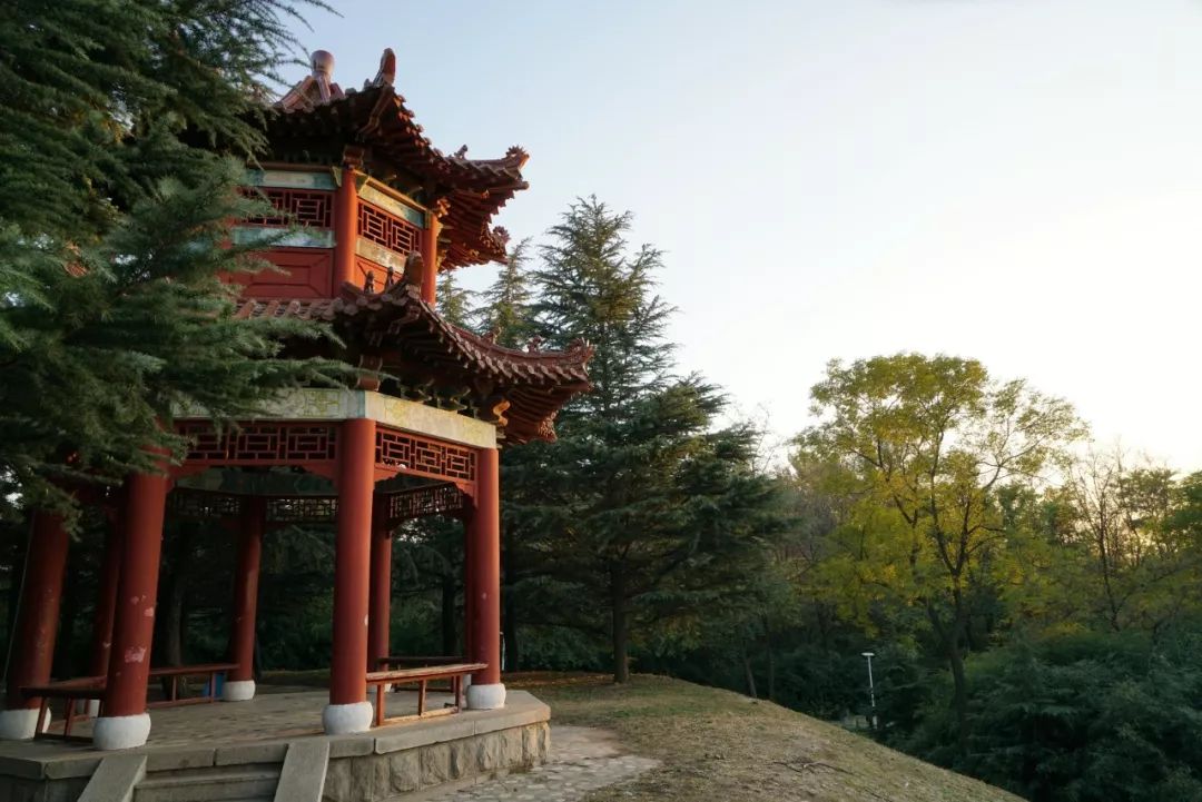 今日济青高铁,青岛济青高铁