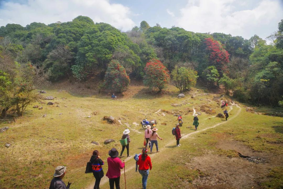 腾冲高山草甸景点,腾冲高原草场