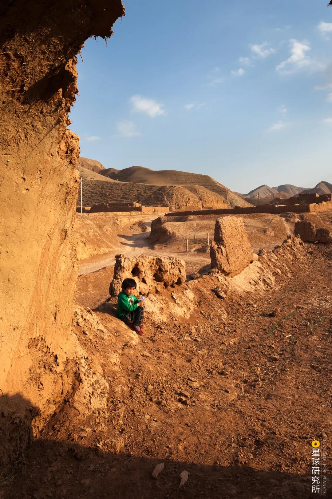 中国植树造林面积,中国植树造林成果国外有什么看法
